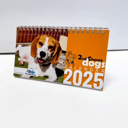2025 DESKTOP CALENDAR