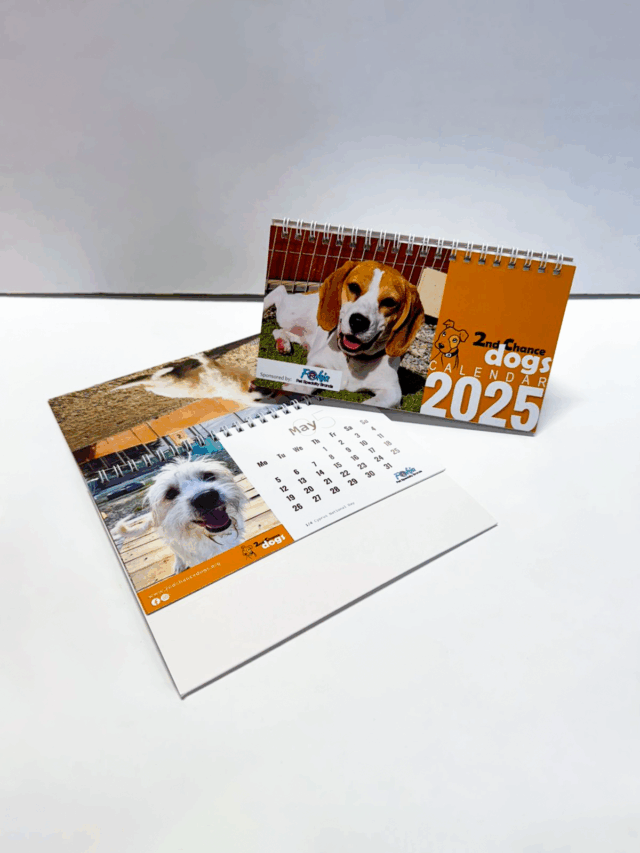 2025 DESKTOP CALENDAR - Image 2
