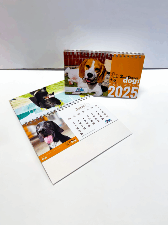 2025 DESKTOP CALENDAR - Image 3