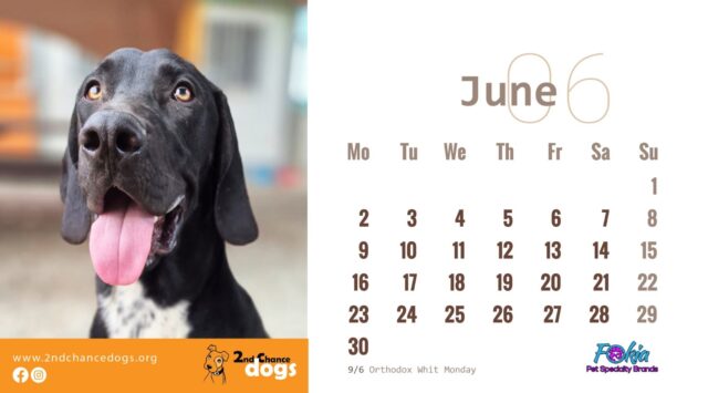 2025 DESKTOP CALENDAR - Image 5