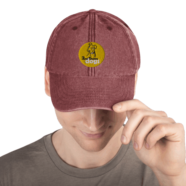 Vintage Hat - Image 2