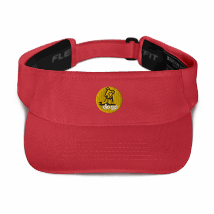 Visor
