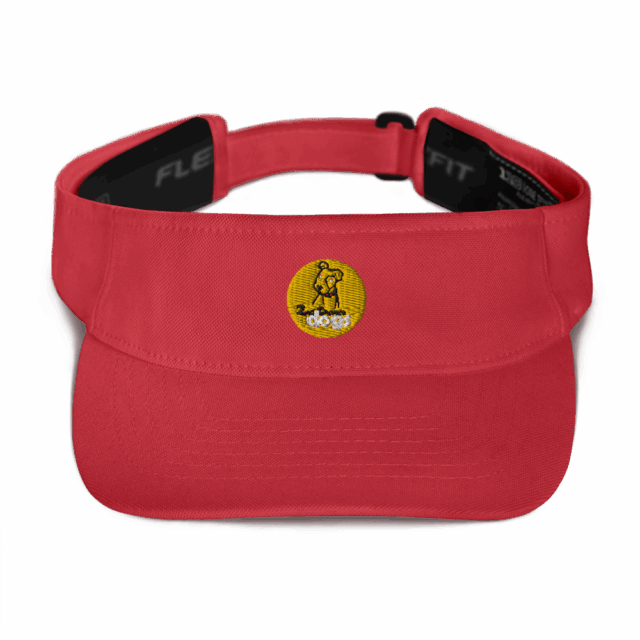 Visor