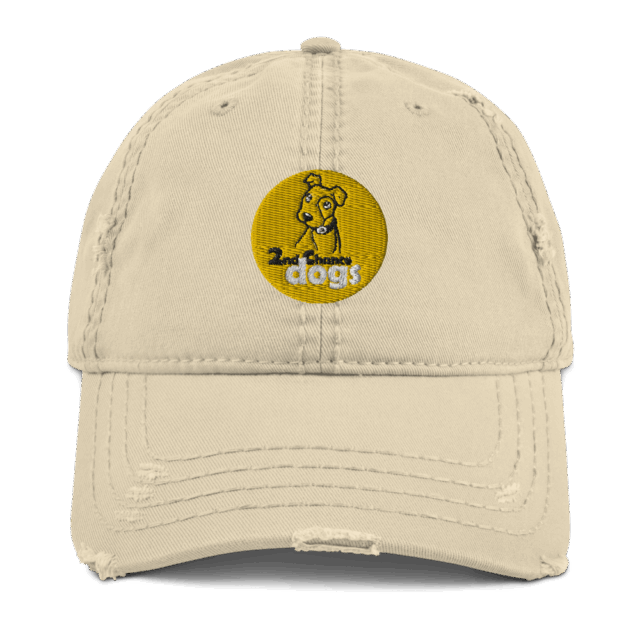 Distressed Dad Hat