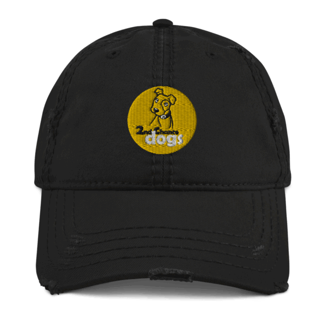 Distressed Dad Hat - Image 8