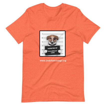 Short-Sleeve Unisex T-Shirt Busted