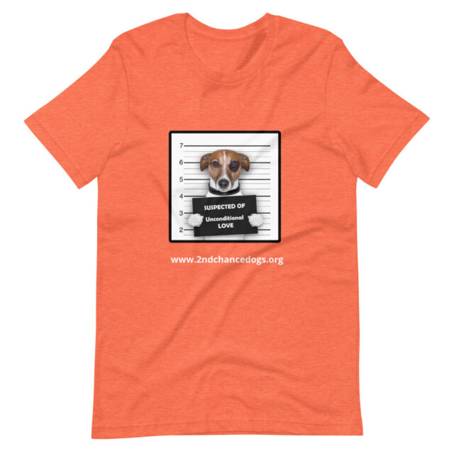 Short-Sleeve Unisex T-Shirt Busted