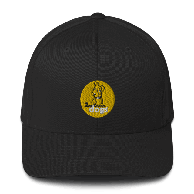 Structured Twill Cap - Image 3
