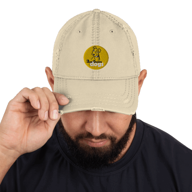 Distressed Dad Hat - Image 2