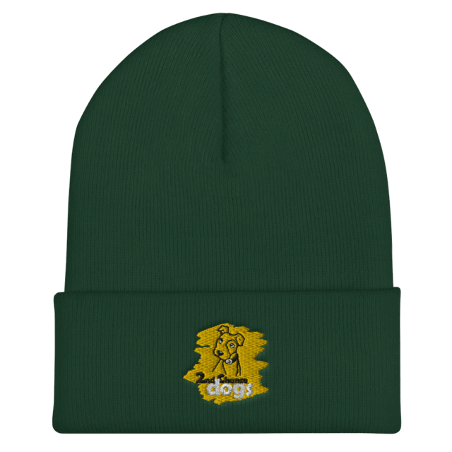 Cuffed Beanie - Image 3