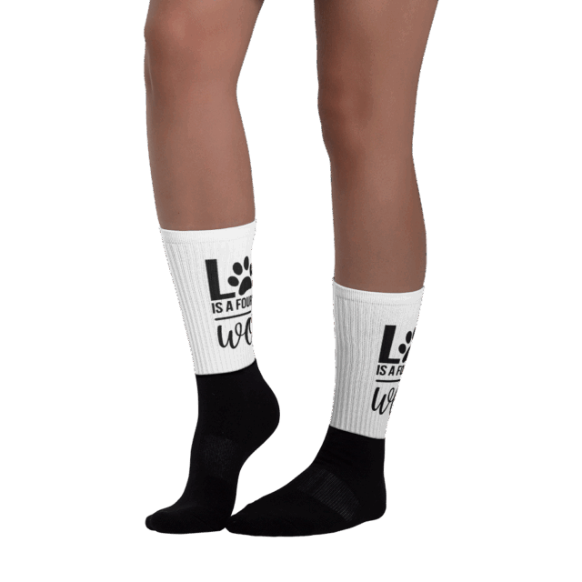 Socks Hound - Image 2