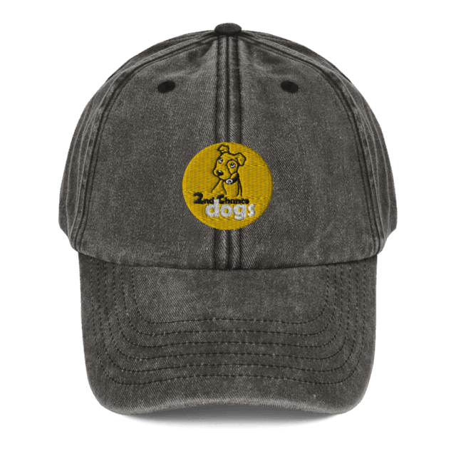 Vintage Hat - Image 4