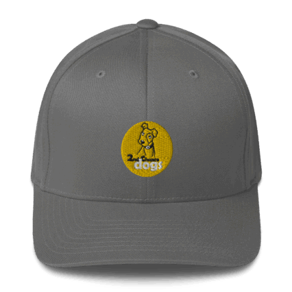 Structured Twill Cap