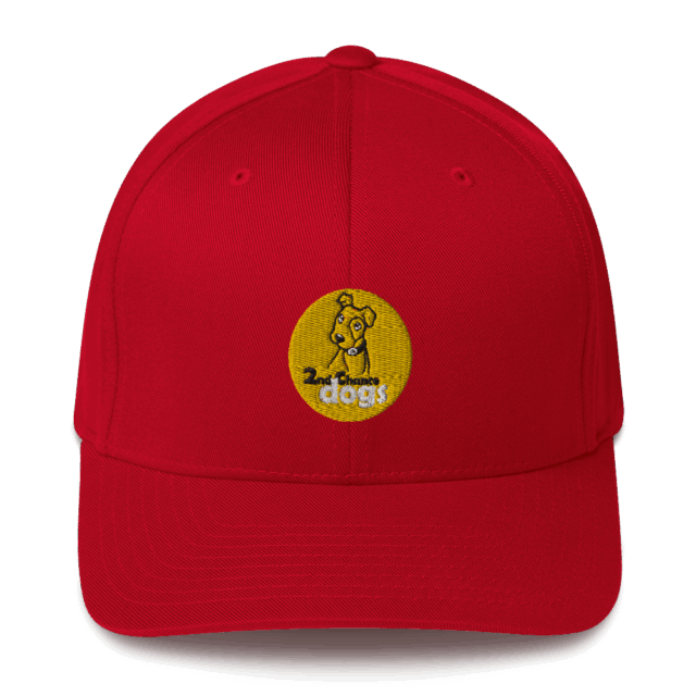 Structured Twill Cap - Image 4