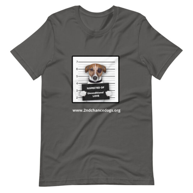 Short-Sleeve Unisex T-Shirt Busted - Image 3