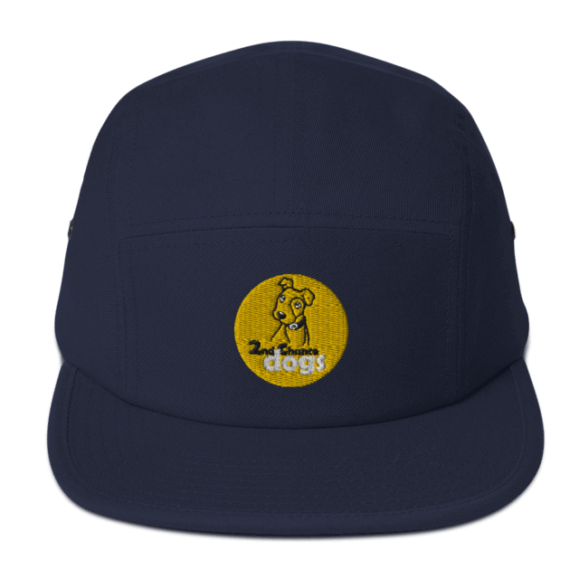 5 Panel Camper - Image 2